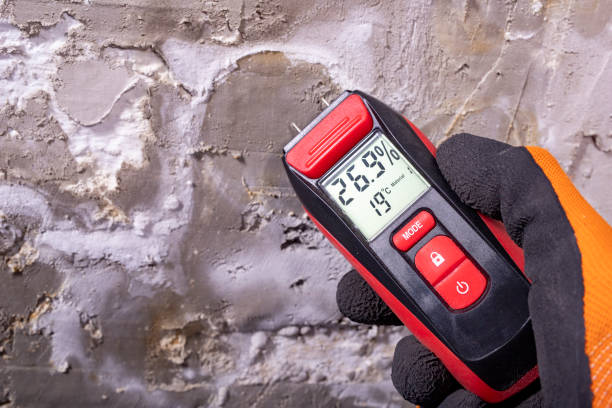 Best Mold Remediation Services  in Vicksburg, MI