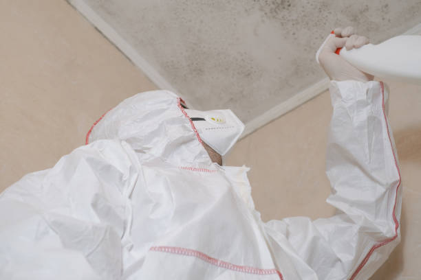 Best Mold Removal Near Me  in Vicksburg, MI